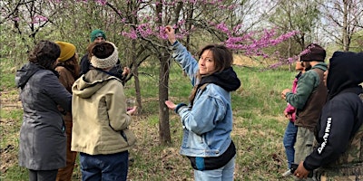 Intergenerational Flower Foraging & Syrup Making with Ashley Hoffman primary image