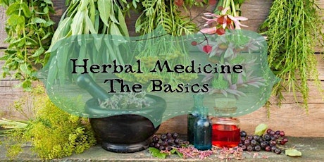 Herbal Medicine - The Basics (Part 2) primary image