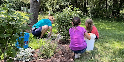 Primaire afbeelding van Farming with Friends: SES (Grades K-1)