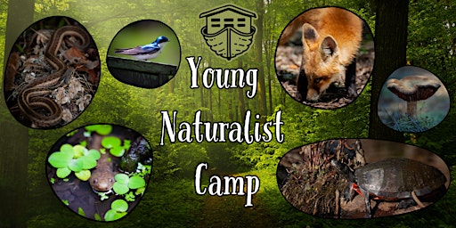 Imagem principal do evento Young Naturalist Camp - Ages 12-14
