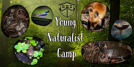 Young Naturalist Camp - Ages 12-14