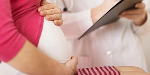Primaire afbeelding van Prenatal Lactation Classes