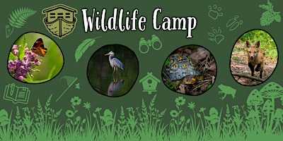 Wildlife Camp - Ages 5-7  primärbild