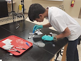 Afterschool Cohort: Biomedical Explorers (Fall 2024) primary image