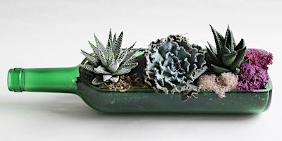 Succulent Wine Bottle Planter primary image