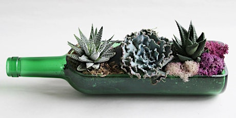 Succulent Wine Bottle Planter