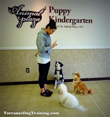Free Day of Fun Puppy / Dog Training & Supervised Playtime! primary image