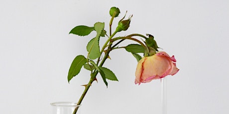 BOTTLE THE FRAGRANT LANGUAGE OF A ROSE. Studio Merle Bergers primary image