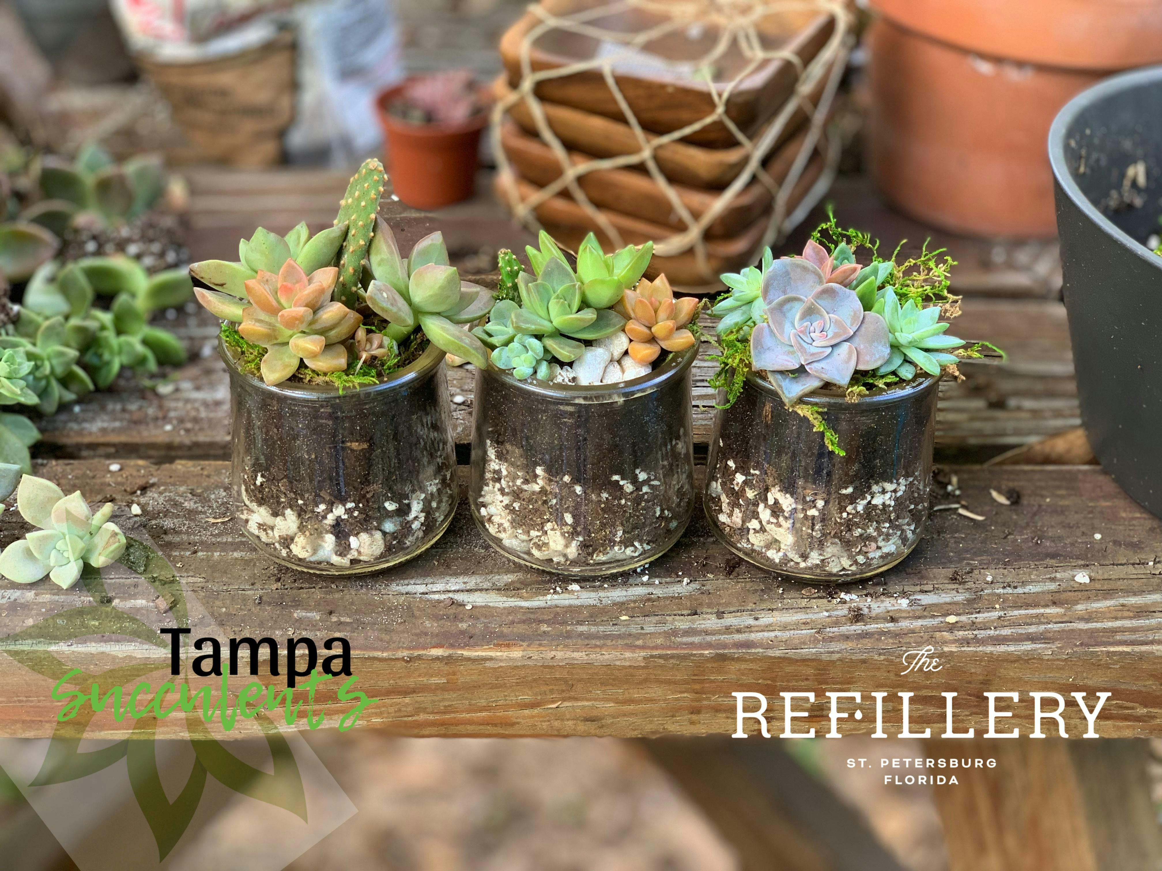 Tampa Succulents DIY Night @ The Refillery