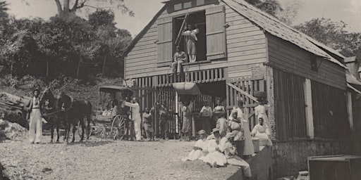 Rowntree's Caribbean Plantations primary image