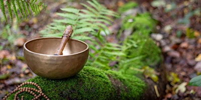 Primaire afbeelding van Offener Abend im Buddhistisches Zentrum Arnsberg