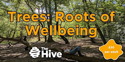 Primaire afbeelding van Trees: Roots of Wellbeing