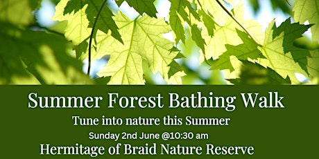 Summer Forest Bathing Walk- Hermitage of Braid Nature Reserve, Edinburgh