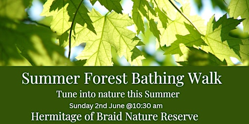 Summer Forest Bathing Walk- Hermitage of Braid Nature Reserve, Edinburgh  primärbild