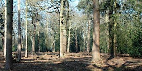 Hauptbild für Morning birding walk around Sherrardspark Wood