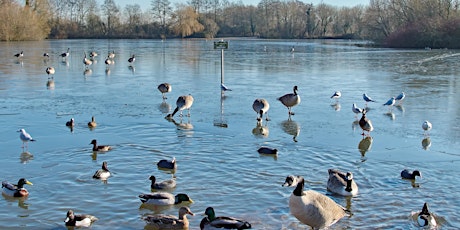 Nature Discovery Centre Bird Walk - April