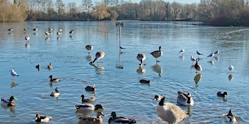 Immagine principale di Nature Discovery Centre Bird Walk - November 