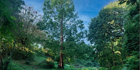 Vol @ Val: Volunteering at Val de la Mare with Jersey Trees for Life