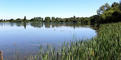 Primaire afbeelding van Morning birding visit to Hillfield Reservoir