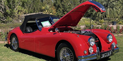 Primaire afbeelding van Car & Art Concours de Caractère