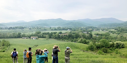 Sightlines: Stories of Conservation Farming with Dr. Amy Johnson  primärbild