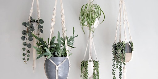 Primaire afbeelding van Macrame Plant hangers craft Online US Time