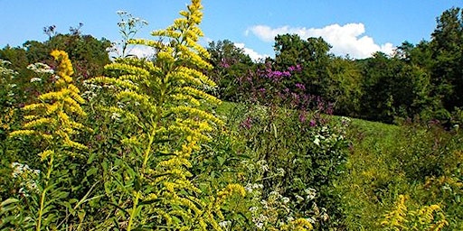 Hauptbild für Sightlines:Ohkehteau Unnehtongquatash, Plant Stories with Silvermoon LaRose