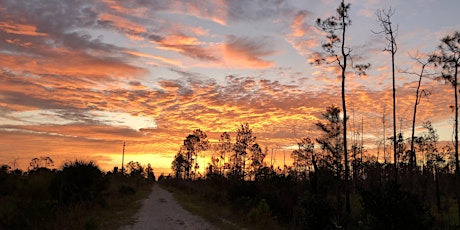 Members-Only: Sunset Hike primary image