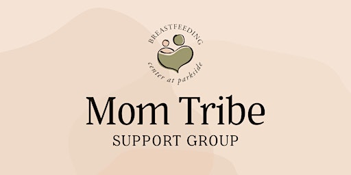 Imagem principal do evento New Support Group: Mom Tribe