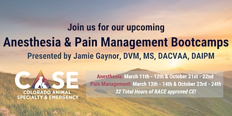 Anesthesia & Pain Management Bootcamps