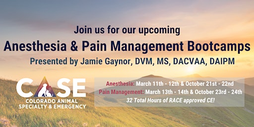 Anesthesia & Pain Management Bootcamps primary image