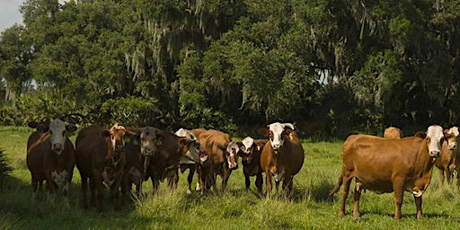 North Florida Beef Reproduction Workshop primary image