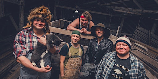 Image principale de Steve'n'Seagulls