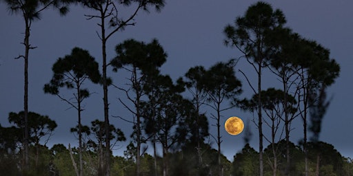 Members-Only: Full Moon Hike primary image
