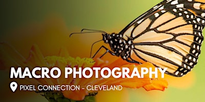 Imagen principal de Intro to Macro at Pixel Connection - Cleveland