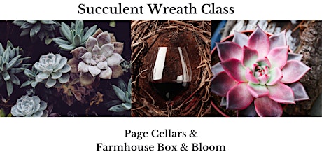 Succulent Wreath Class