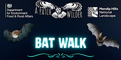 Hauptbild für Bat Walk