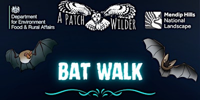 Immagine principale di Bat Walk 