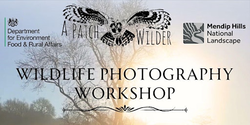Wildlife Photography Workshop primary image