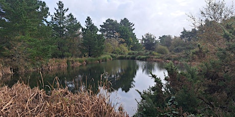 West Cornwall Netwalking with Edward Chapman in Tehidy Woods