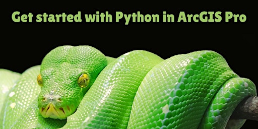 Primaire afbeelding van Free One-Hour Python Workshop: Python IDEs and Why You Should Use One