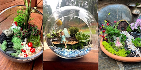 Fairy Garden Living World Terrarium Workshop