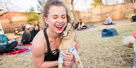 Goat Yoga Providence!