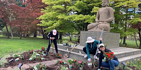 Hauptbild für Volunteer Mornings