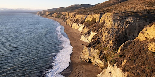 Geology of Northern Point Reyes Beaches primary image