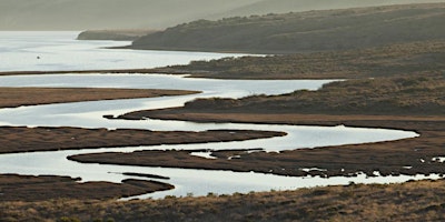 Primaire afbeelding van Natural History of the Estero Trail