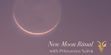 NEW MOON RITUAL with Primavera Salvá primary image