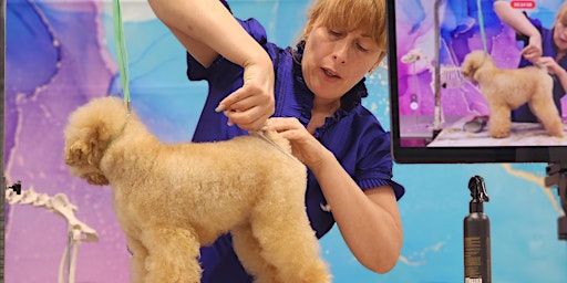 Hauptbild für FREE! Scissring Techniques and corrective grooming.