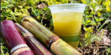 Primaire afbeelding van KualoaGrown Sugarcane Juice + Partner Farm Pop-Up Event