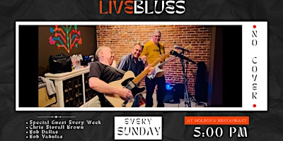 Hauptbild für Sunday Live Blues @ Moldova
